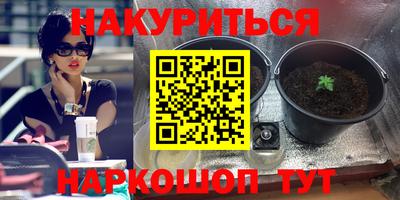 сатива Братск