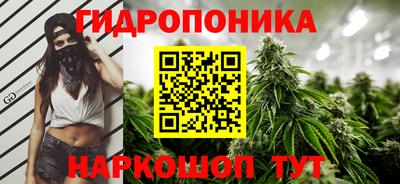 Альфа ПВП Боровичи